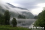 Nebel in einer Flussniederung Nebel in einer Flussniederung