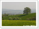 Felder mit Blick zum Deister