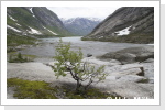 Norwegen vom Gletscher ins Tal
